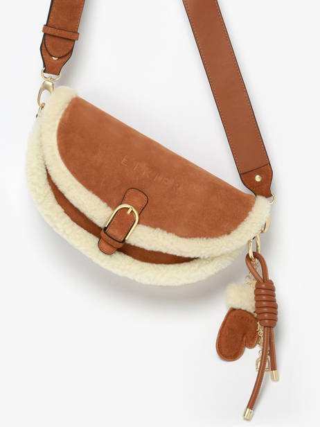 Shoulder Bag Alpin Etrier Brown alpin EALP050S other view 2