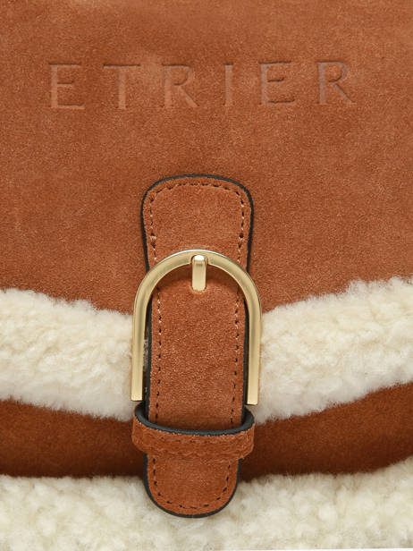 Shoulder Bag Alpin Etrier Brown alpin EALP050S other view 5