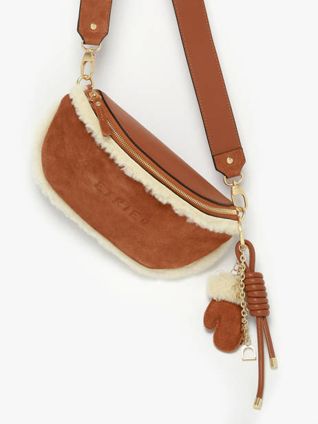 Belt Bag Etrier Brown alpin EALP022M other view 2