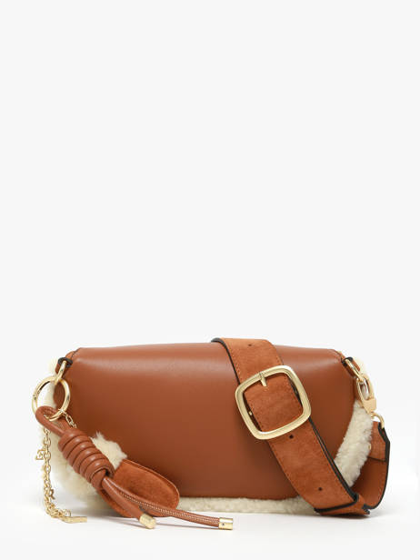 Belt Bag Etrier Brown alpin EALP022M other view 4