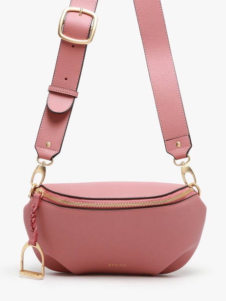Belt Bag Etrier Pink torsade ETOS022M other view 1